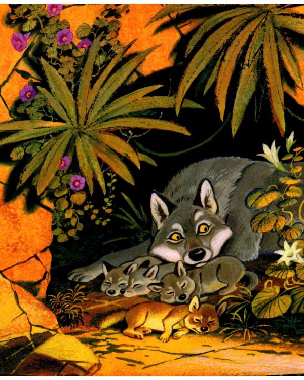 Дополнительное изображение книги «Маугли»