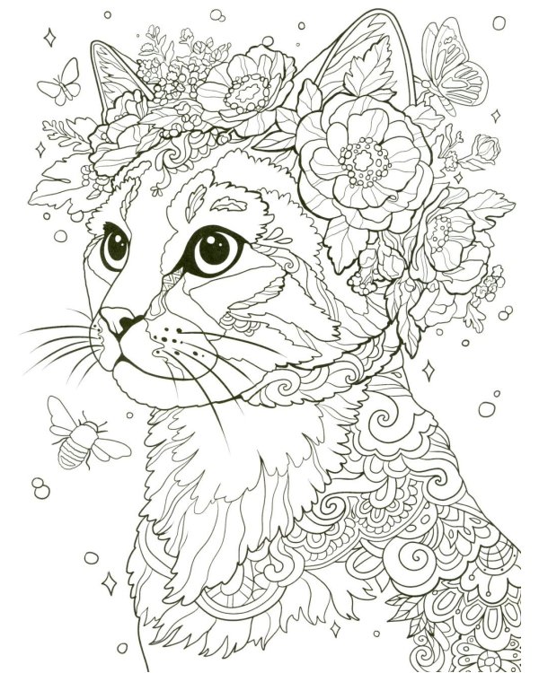 Кошки: книжка-раскраска