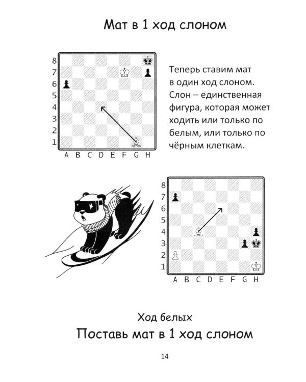 500+ задач по шахматам. Старт: Учебное пособие