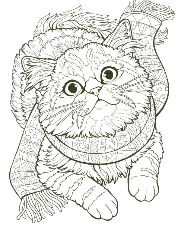 Кошки: книжка-раскраска