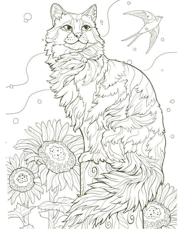 Кошки: книжка-раскраска