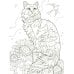 Кошки: книжка-раскраска