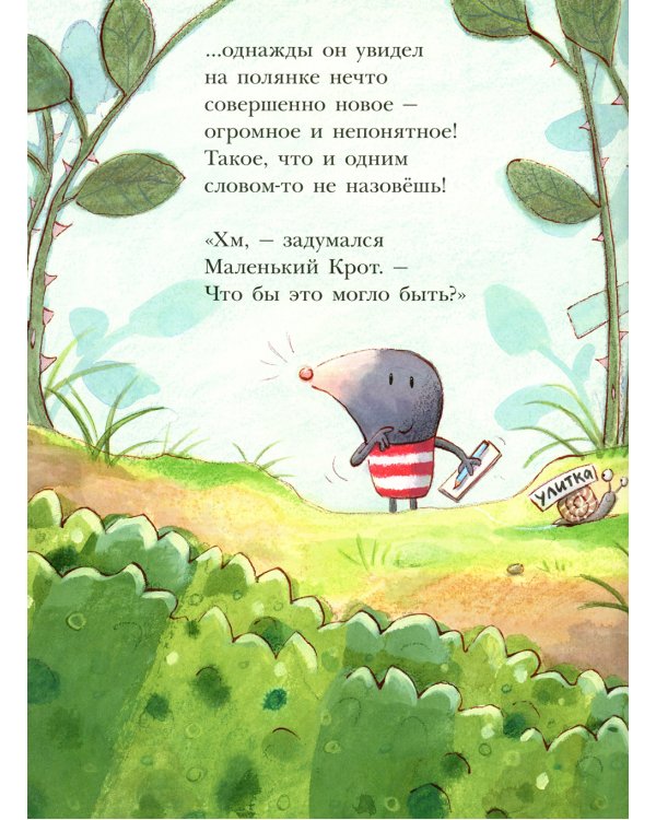 Штука-Дрюка: книжка-картинка
