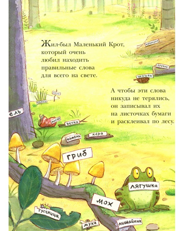 Штука-Дрюка: книжка-картинка