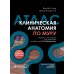 Клиническая анатомия по Муру: Учебное пособие, атлас