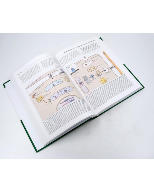 Основы вирусологии: В 2-х т (комплект из 2-х книг)