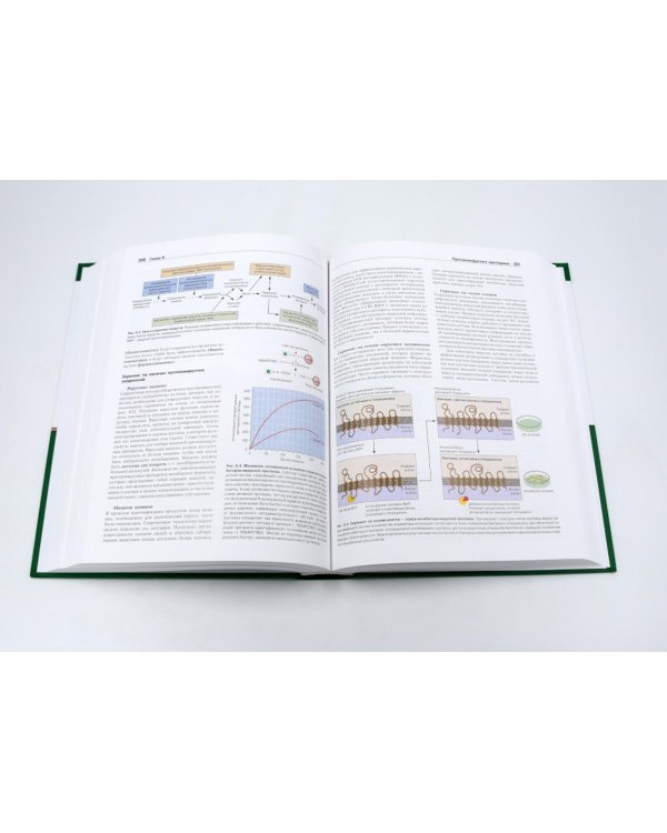 Основы вирусологии: В 2-х т (комплект из 2-х книг)