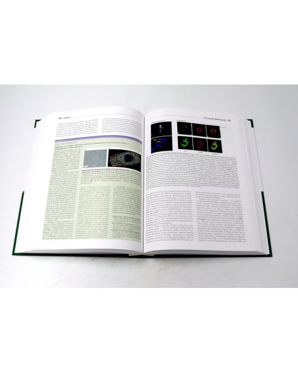 Основы вирусологии: В 2-х т (комплект из 2-х книг)