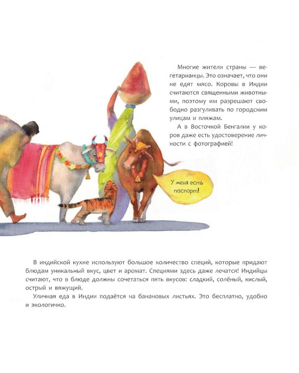 Индия. Страна мудрецов