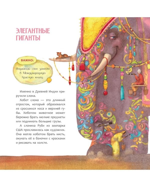 Индия. Страна мудрецов