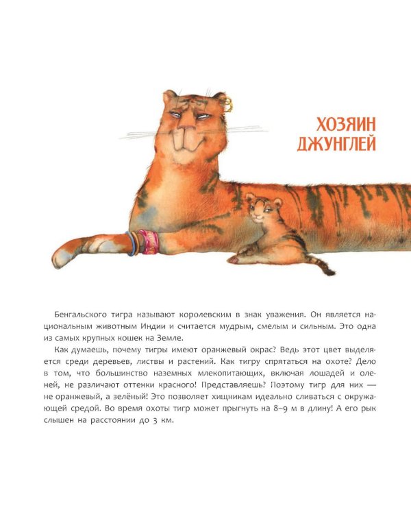 Индия. Страна мудрецов