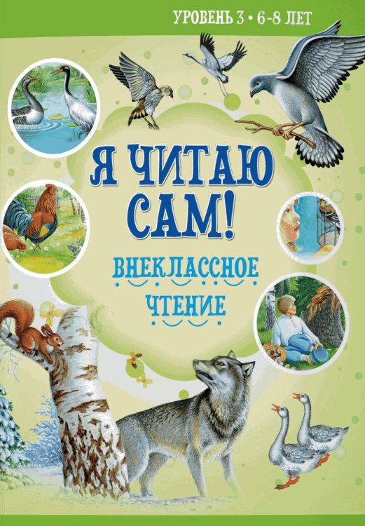 Я читаю сам! Внеклассное чтение. Уровень 3. 6-8 лет