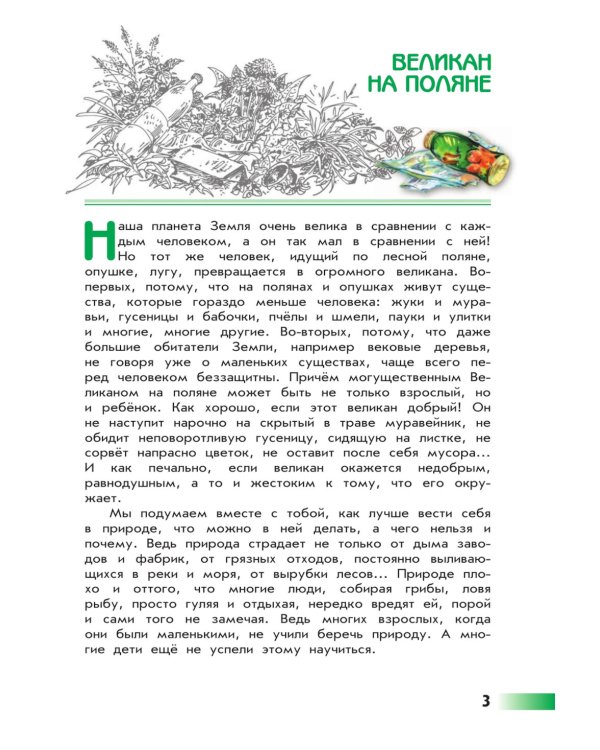 Великан на поляне, или первые уроки экологической этики: для учащихся начальных классов. 11-е изд., стер