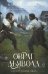 Обложка книги «Овраг Дьявола. Т. 21» — Сандему Маргит, ISBN 9785005810809