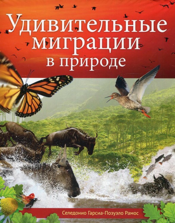 Удивительные миграции в природе