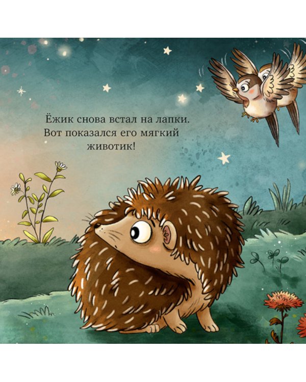 Ежик в саду. Первая книга малыша о природе