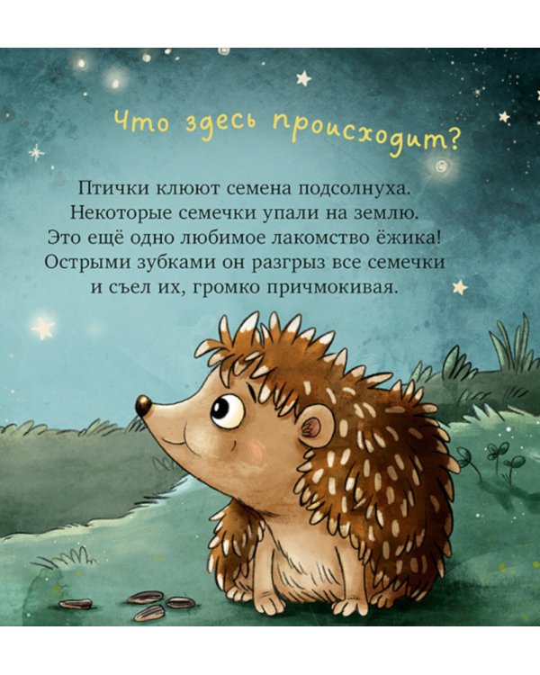 Ежик в саду. Первая книга малыша о природе