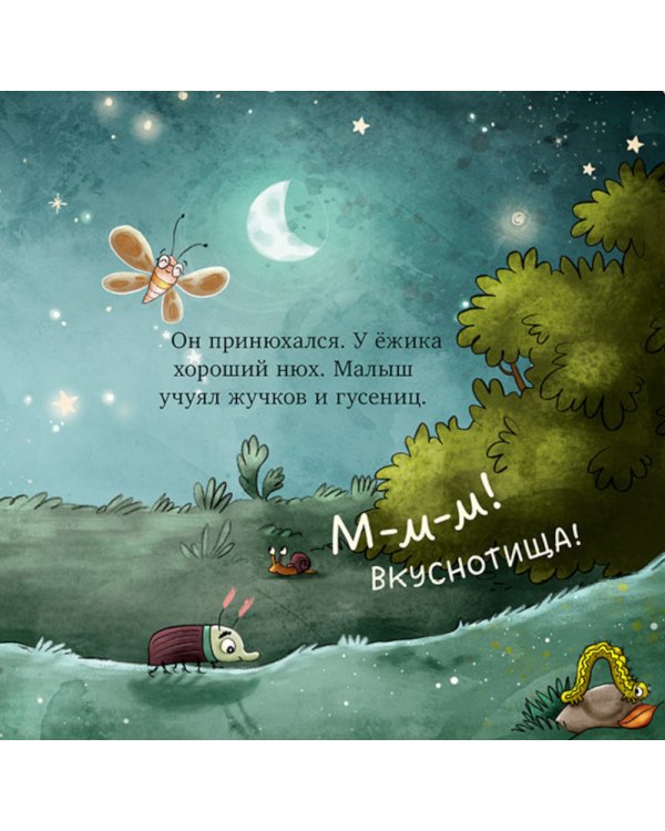 Ежик в саду. Первая книга малыша о природе