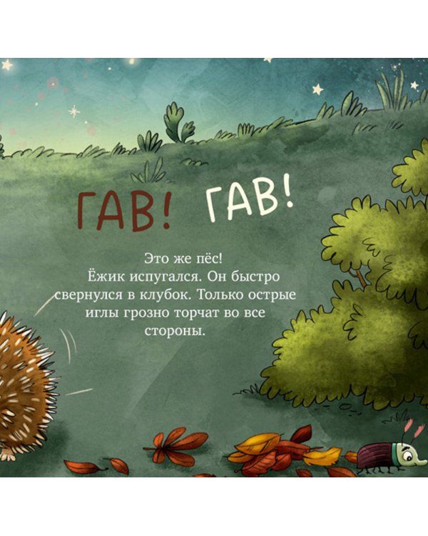 Ежик в саду. Первая книга малыша о природе