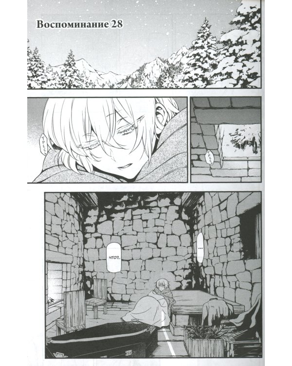 Мемуары Ванитаса. Т. 6: манга