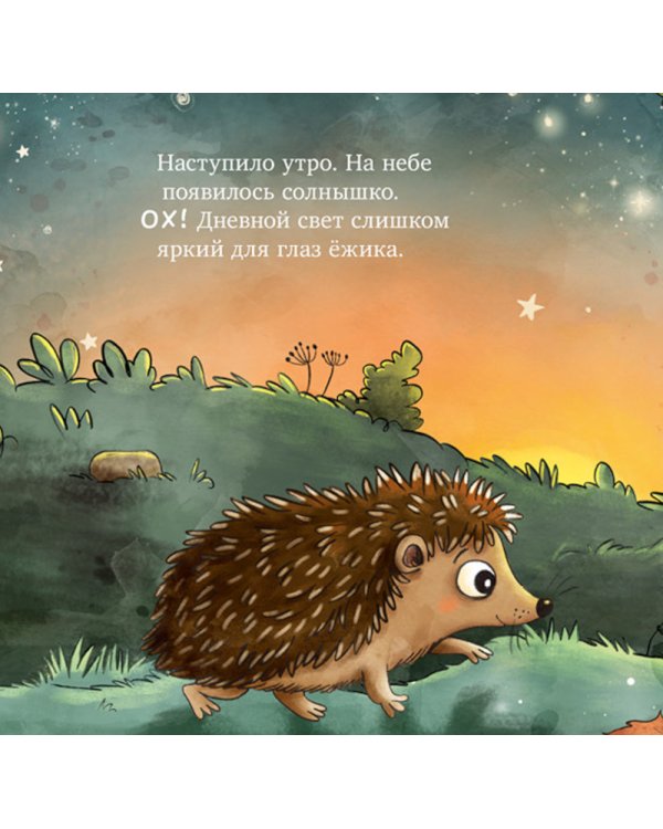 Ежик в саду. Первая книга малыша о природе