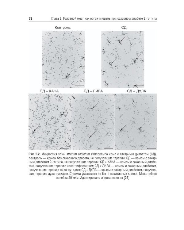Управление метаболическим здоровьем. Т. 5