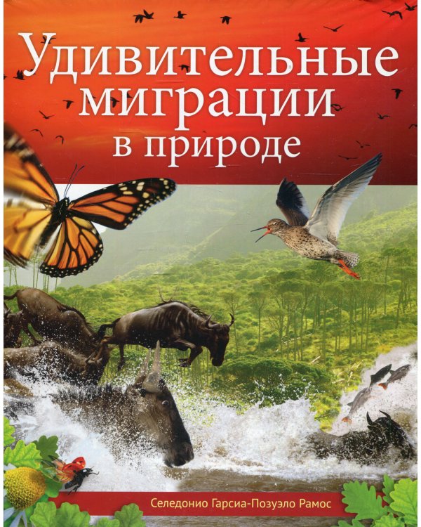 Удивительные миграции в природе