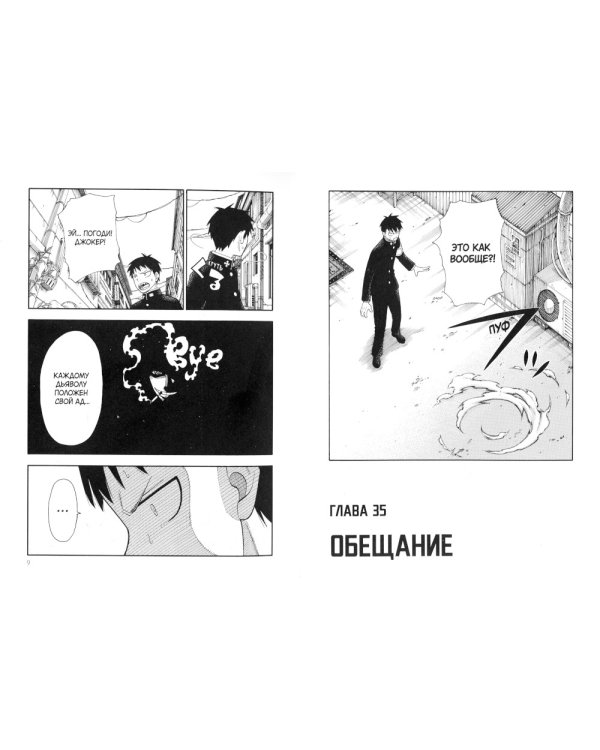 Бригада пылающего пламени. Т. 3: манга