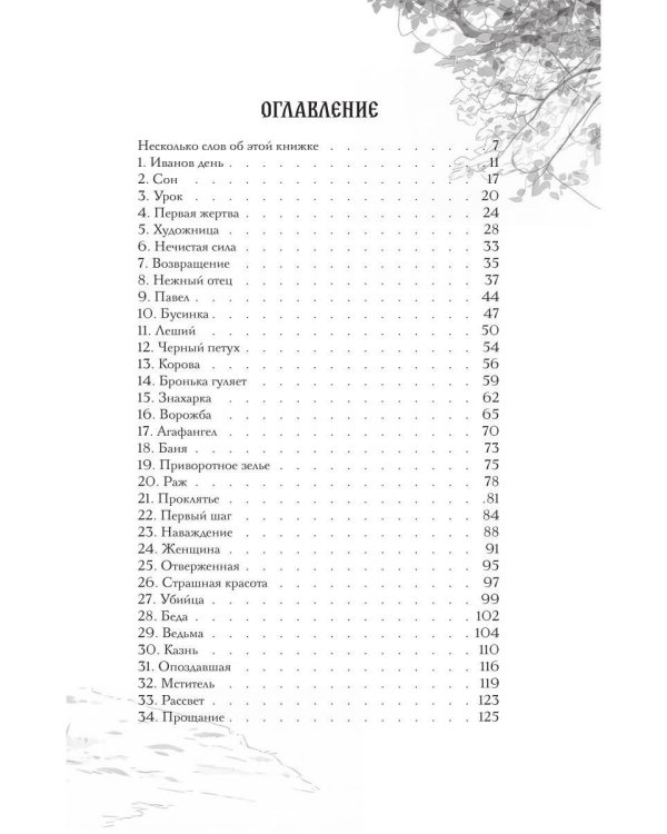 Дополнительное изображение книги «Феофания, рисующая смерть»