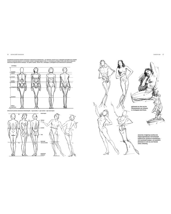 Рисование фигуры