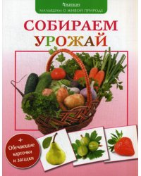 Собираем урожай. Малышам о живой природе