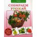 Малышам о живой природе Собираем урожай. Малышам о живой природе