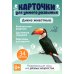 Карточки для умного развития. Дикие животные (34 карточки) Карточки для умного развития. Дикие животные (34 карточки)