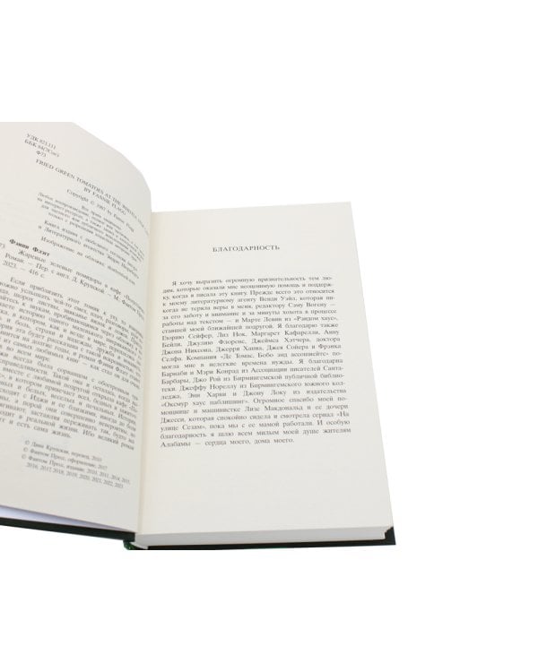 Жареные зеленые помидоры в кафе "Полустанок": роман