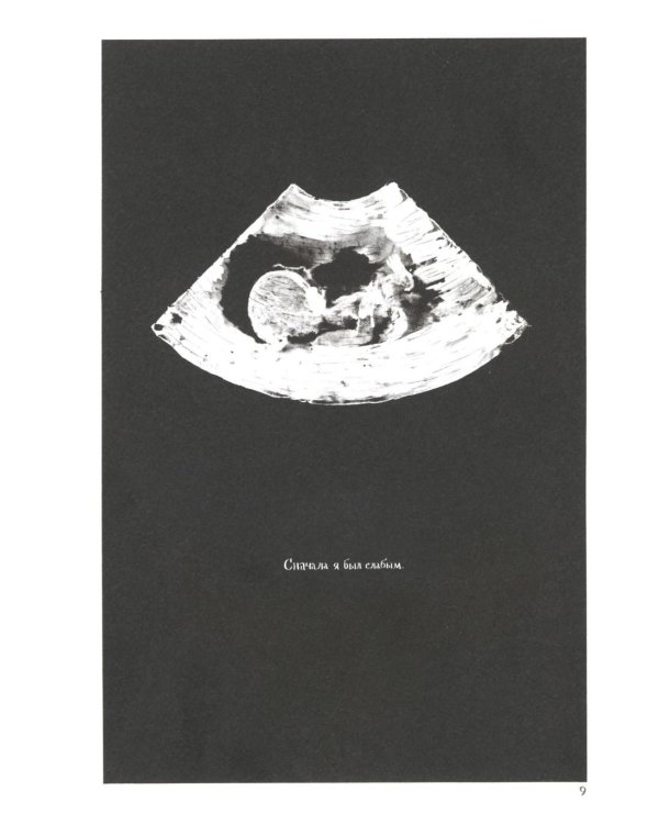 Король-медуза. Кн. 1: графический роман