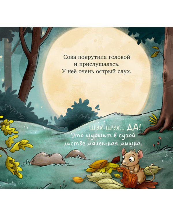 Совушка в лесу. Первая книга малыша о природе