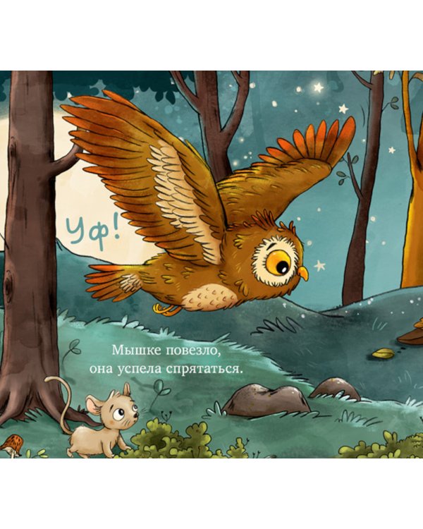 Совушка в лесу. Первая книга малыша о природе