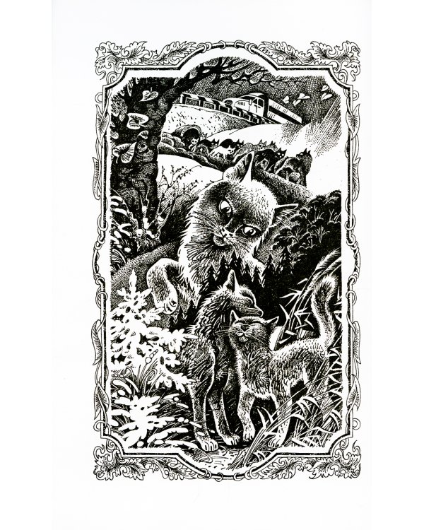 Коты-воители. Огонь и лед