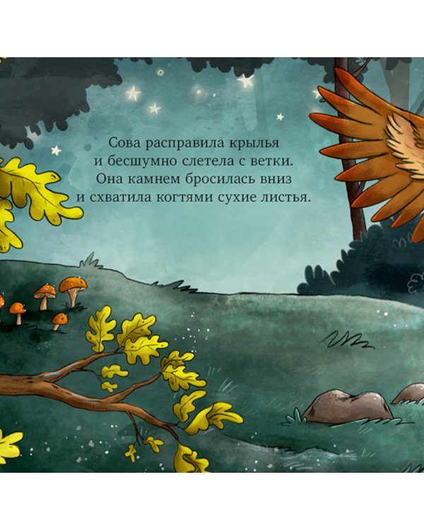 Совушка в лесу. Первая книга малыша о природе