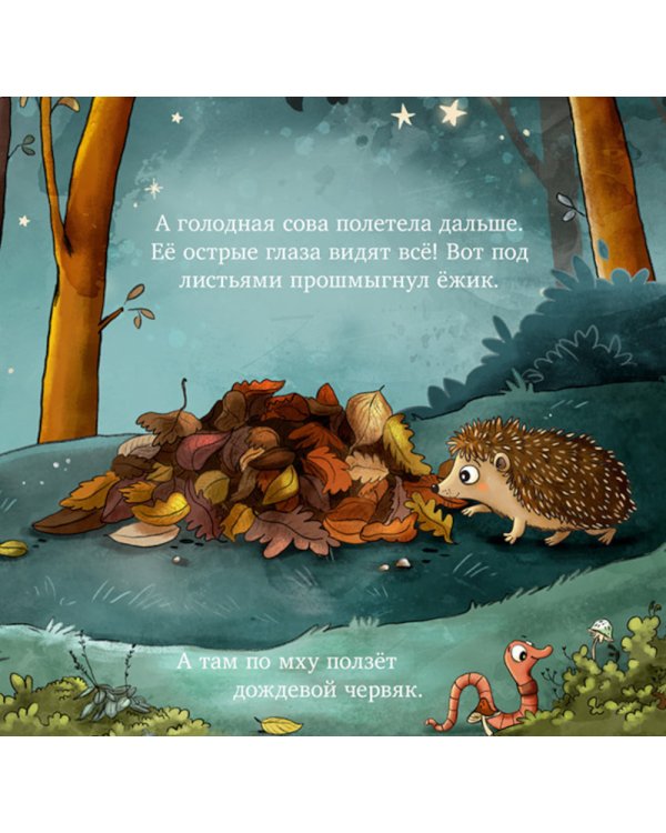 Совушка в лесу. Первая книга малыша о природе