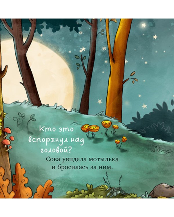 Совушка в лесу. Первая книга малыша о природе