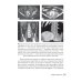 Огнестрельные ранения груди, живота, таза и позвоночника: руководство для врачей. 2-е изд., перераб. и доп