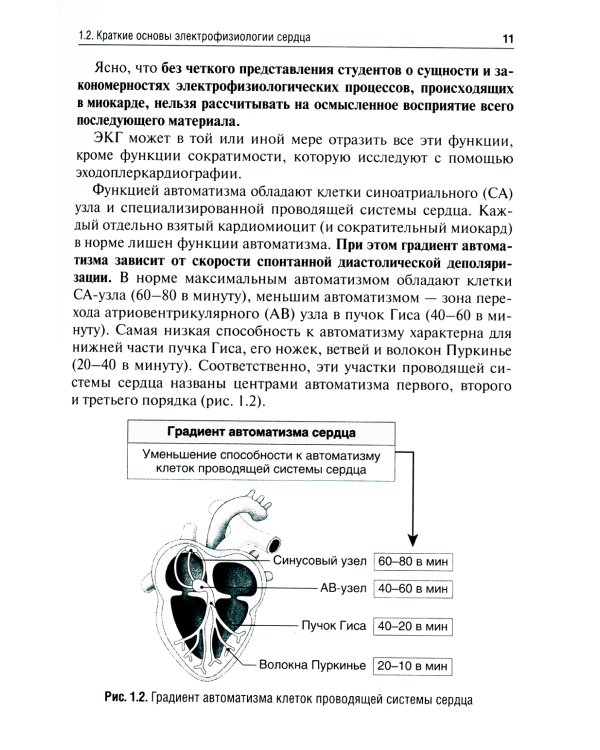 Электрокардиография: Учебное пособие