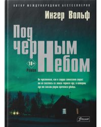 Под черным небом: криминальный роман
