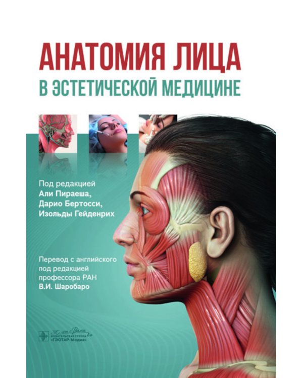Анатомия лица в эстетической медицине