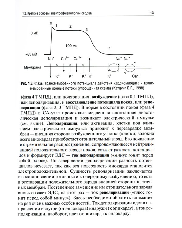 Электрокардиография: Учебное пособие