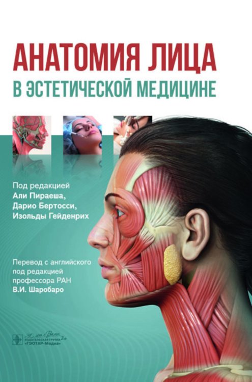 Анатомия лица в эстетической медицине