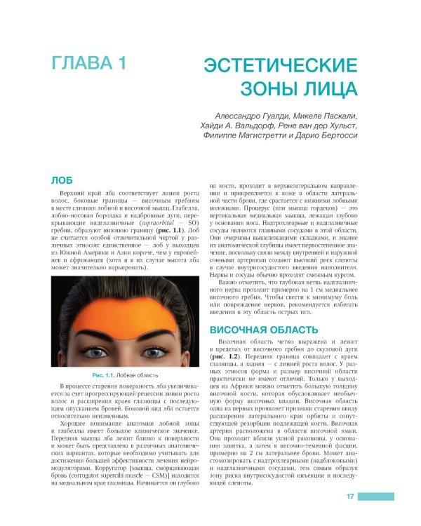 Анатомия лица в эстетической медицине