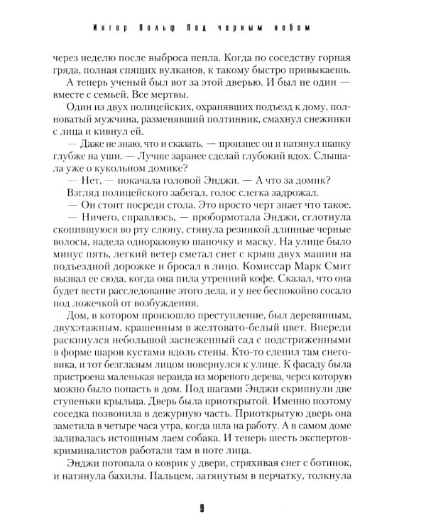 Под черным небом: криминальный роман
