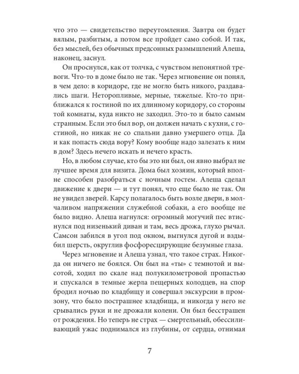 Сын ведьмы. Там, за западным морем